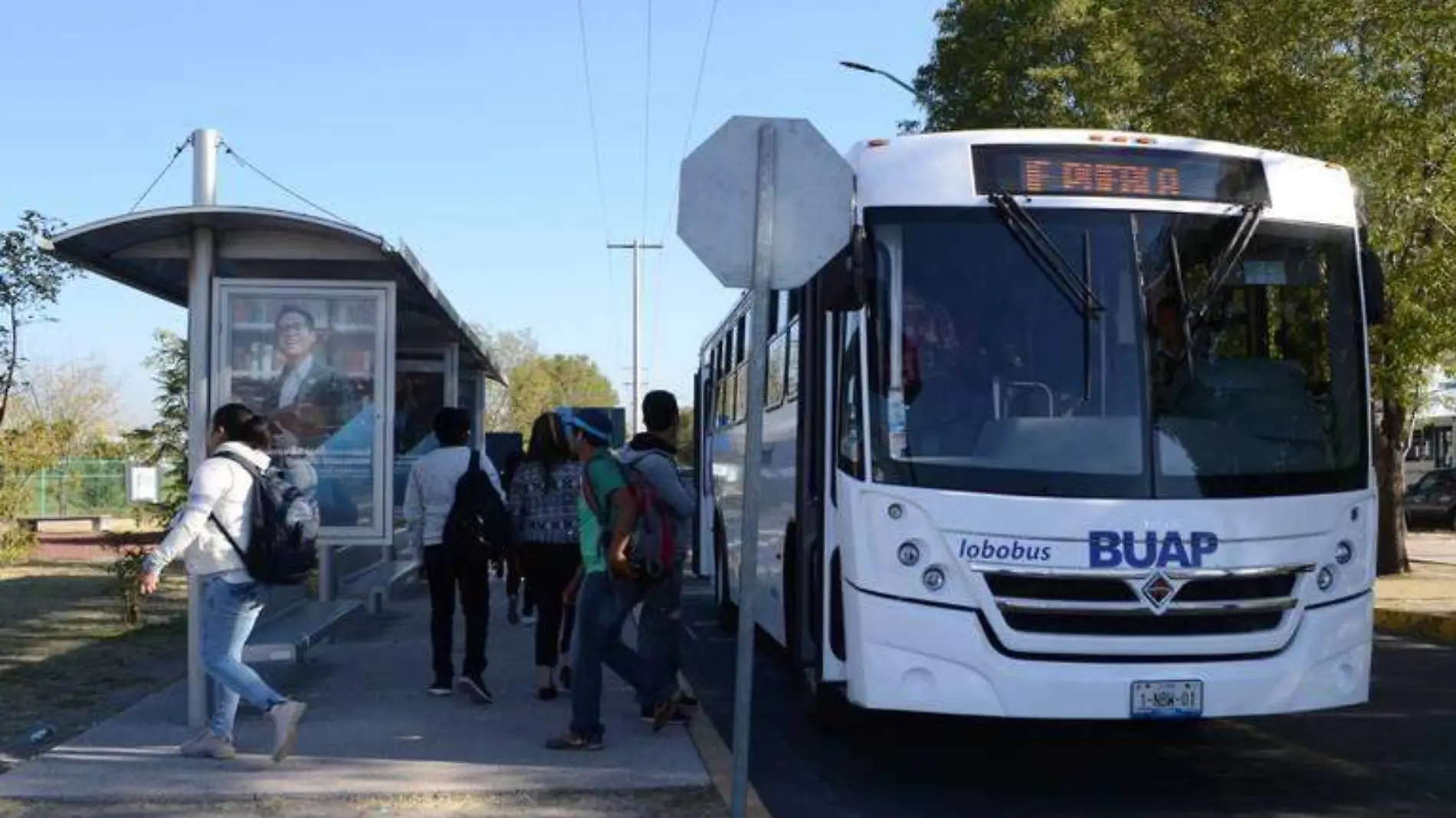 Vuelve el Lobobús, la comunidad universitaria podrá usar el servicio en estos horarios